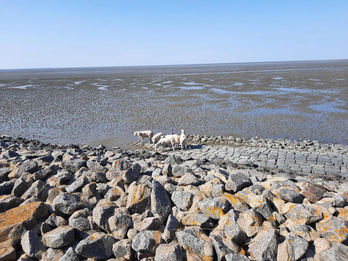 Ferienhaus Fischkopf Büsum Exteriör bild
